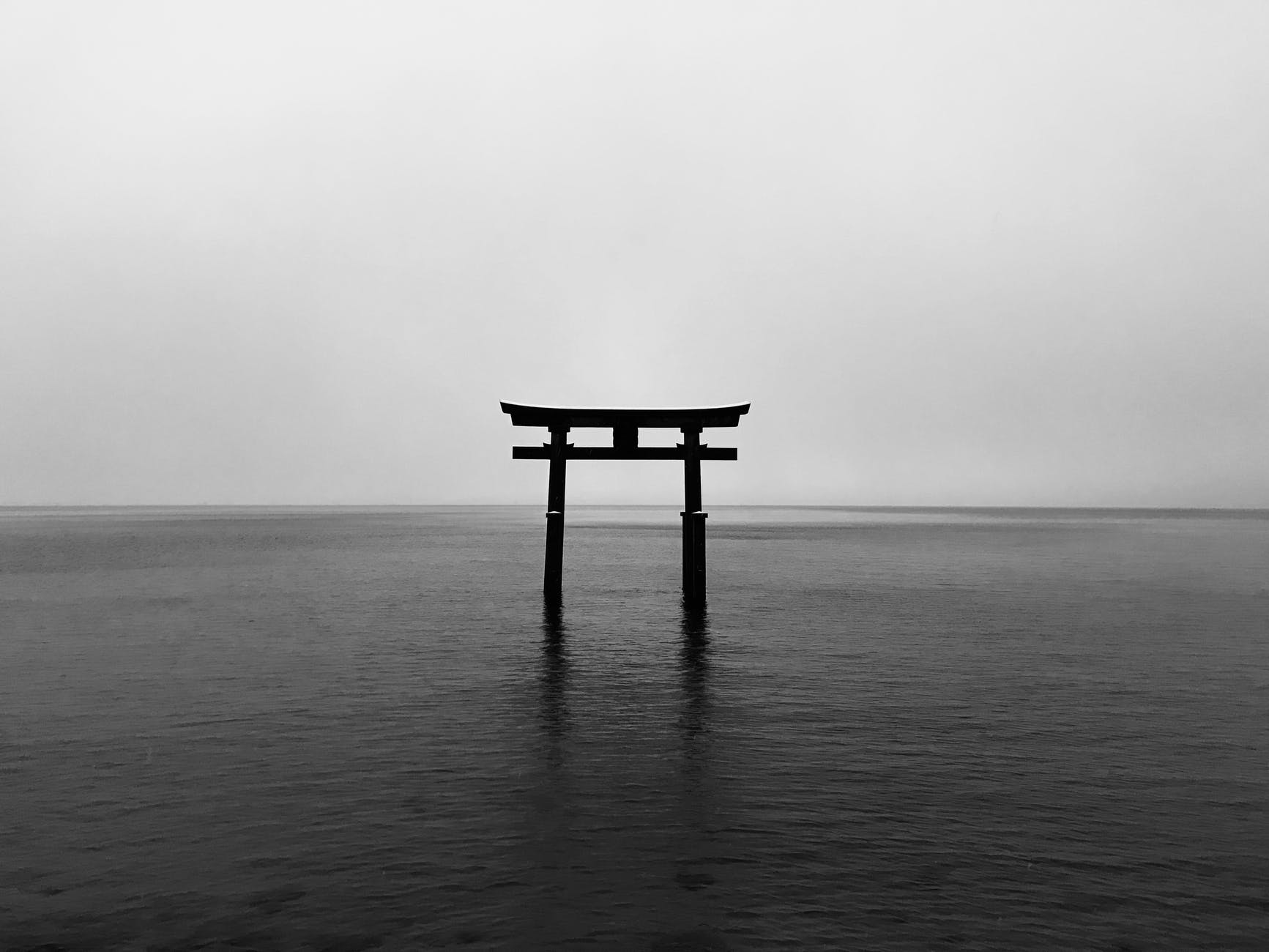 ¿CUÁL ES TU «IKIGAI»?¿PARA QUÉ VIVES?