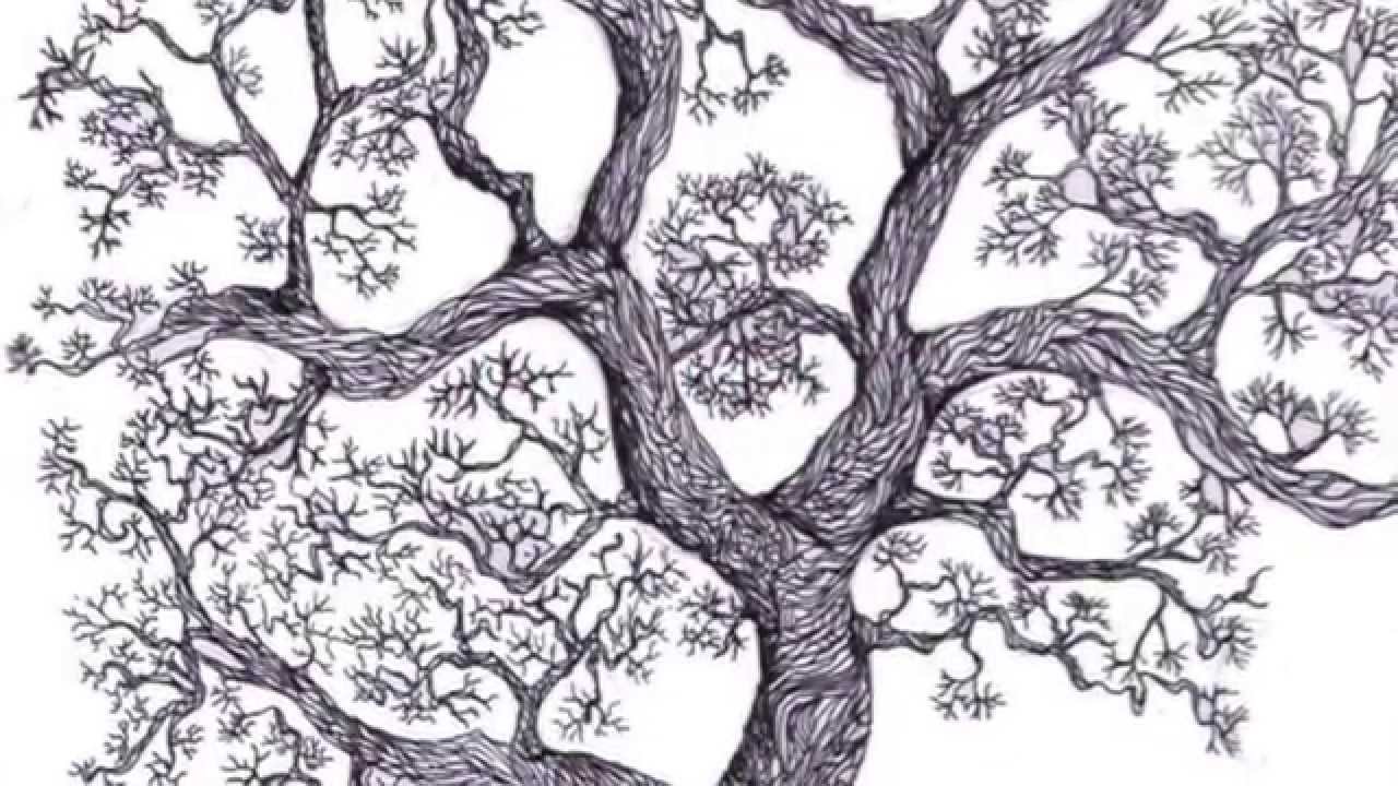 El Test del Árbol de Koch