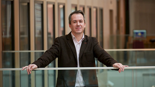 Explorando la Fortaleza Interior:  “Lecciones de Estoicismo” de John Sellars