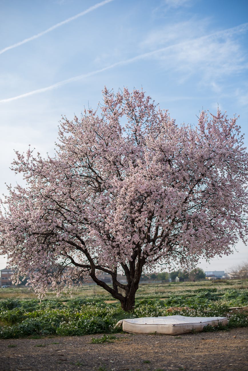 Estrategias para Crear Espacios Propios Tras Experimentar Burnout