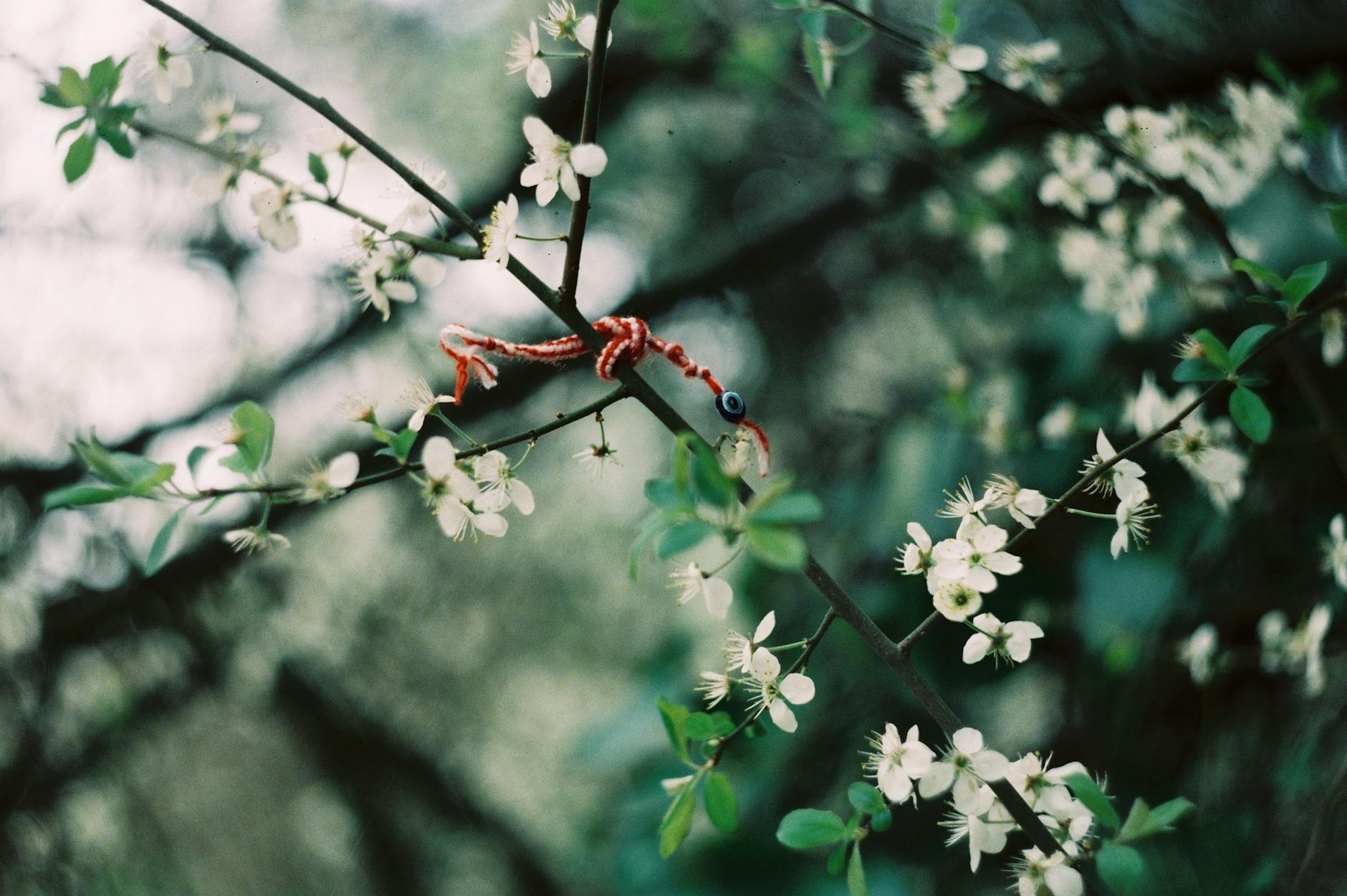 El Sentido de la Espera: Reflexión sobre la Natalidad y el Matrimonio