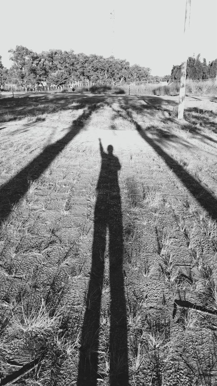 grayscale photography of plant field